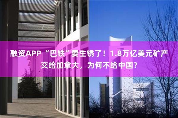 融资APP “巴铁”要生锈了！1.8万亿美元矿产交给加拿大，为何不给中国？