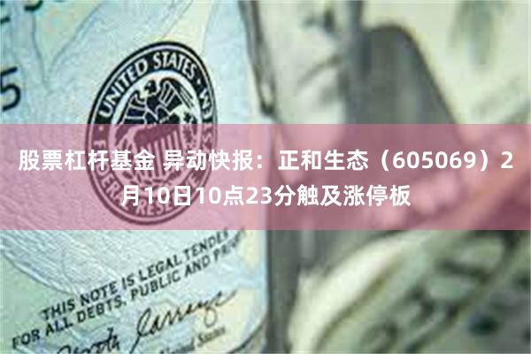 股票杠杆基金 异动快报：正和生态（605069）2月10日10点23分触及涨停板