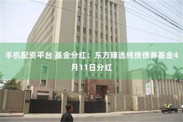 手机配资平台 基金分红：东方臻选纯债债券基金4月11日分红