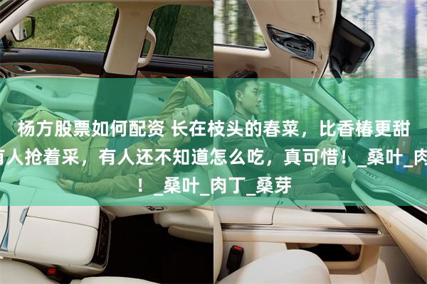 杨方股票如何配资 长在枝头的春菜，比香椿更甜更嫩！有人抢着采，有人还不知道怎么吃，真可惜！_桑叶_肉丁_桑芽