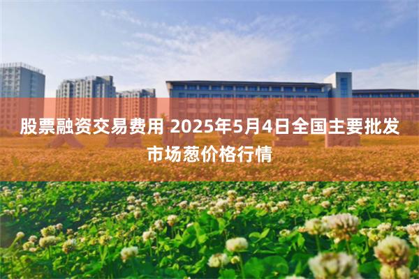 股票融资交易费用 2025年5月4日全国主要批发市场葱价格行情