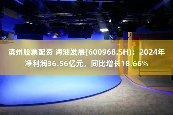滨州股票配资 海油发展(600968.SH)：2024年净利润36.56亿元，同比增长18.66%