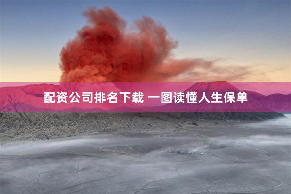 配资公司排名下载 一图读懂人生保单
