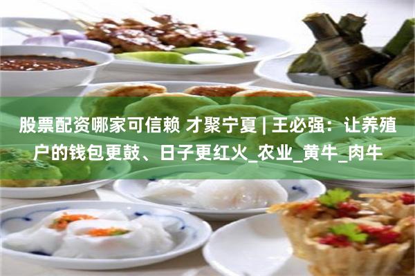股票配资哪家可信赖 才聚宁夏 | 王必强：让养殖户的钱包更鼓、日子更红火_农业_黄牛_肉牛