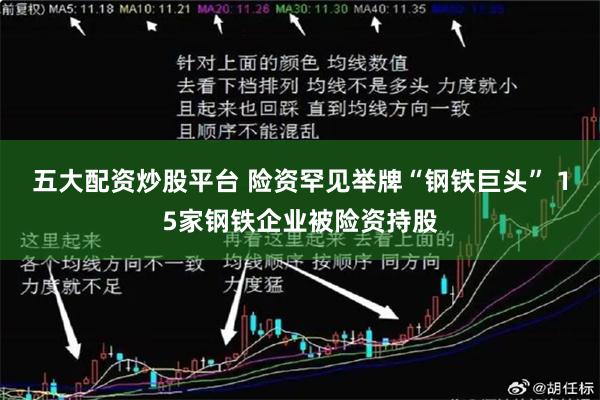 五大配资炒股平台 险资罕见举牌“钢铁巨头” 15家钢铁企业被险资持股