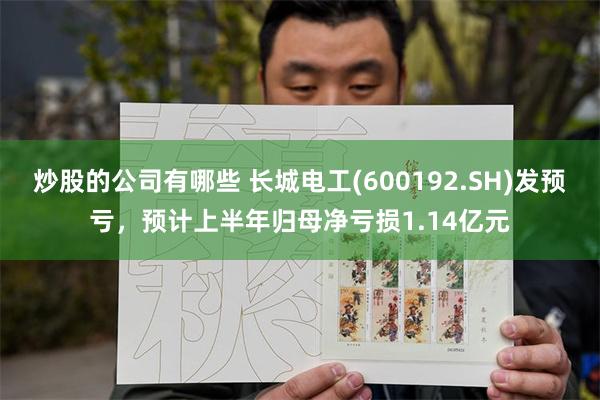 炒股的公司有哪些 长城电工(600192.SH)发预亏，预计上半年归母净亏损1.14亿元