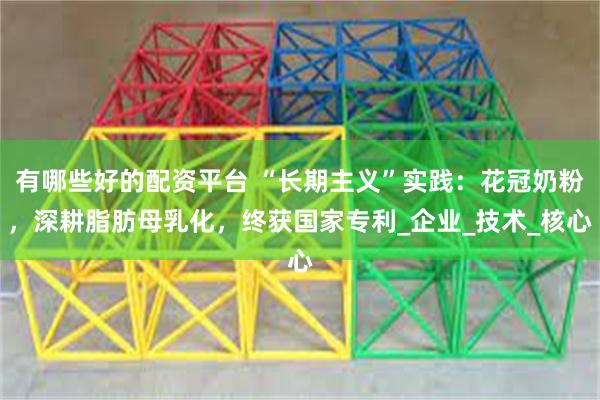 有哪些好的配资平台 “长期主义”实践：花冠奶粉，深耕脂肪母乳化，终获国家专利_企业_技术_核心