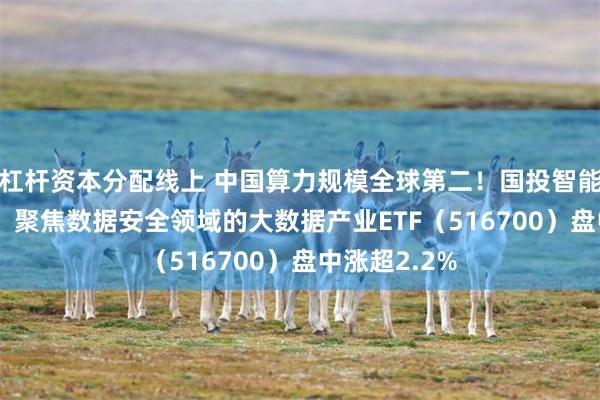 杠杆资本分配线上 中国算力规模全球第二！国投智能20CM涨停，聚焦数据安全领域的大数据产业ETF（516700）盘中涨超2.2%