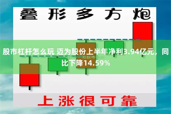 股市杠杆怎么玩 迈为股份上半年净利3.94亿元，同比下降14.59%