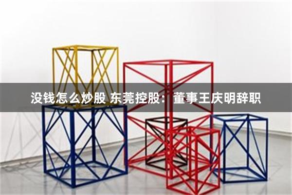 没钱怎么炒股 东莞控股：董事王庆明辞职