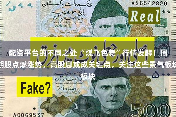 配资平台的不同之处 “煤飞色舞”行情发酵！周期股点燃涨势，高股息或成关键点，关注这些景气板块