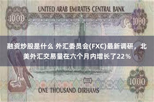 融资炒股是什么 外汇委员会(FXC)最新调研，北美外汇交易量在六个月内增长了22％